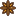 staranise-icon